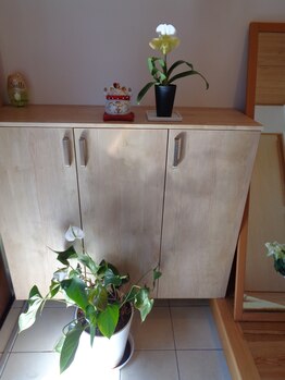 なごみ整体院/玄関の中、左手側