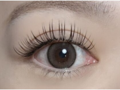 アウラ(aulla)の写真