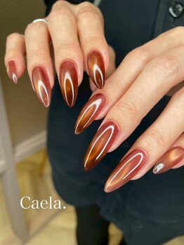 カエラ(Caela)/マグネットうるうるネイル