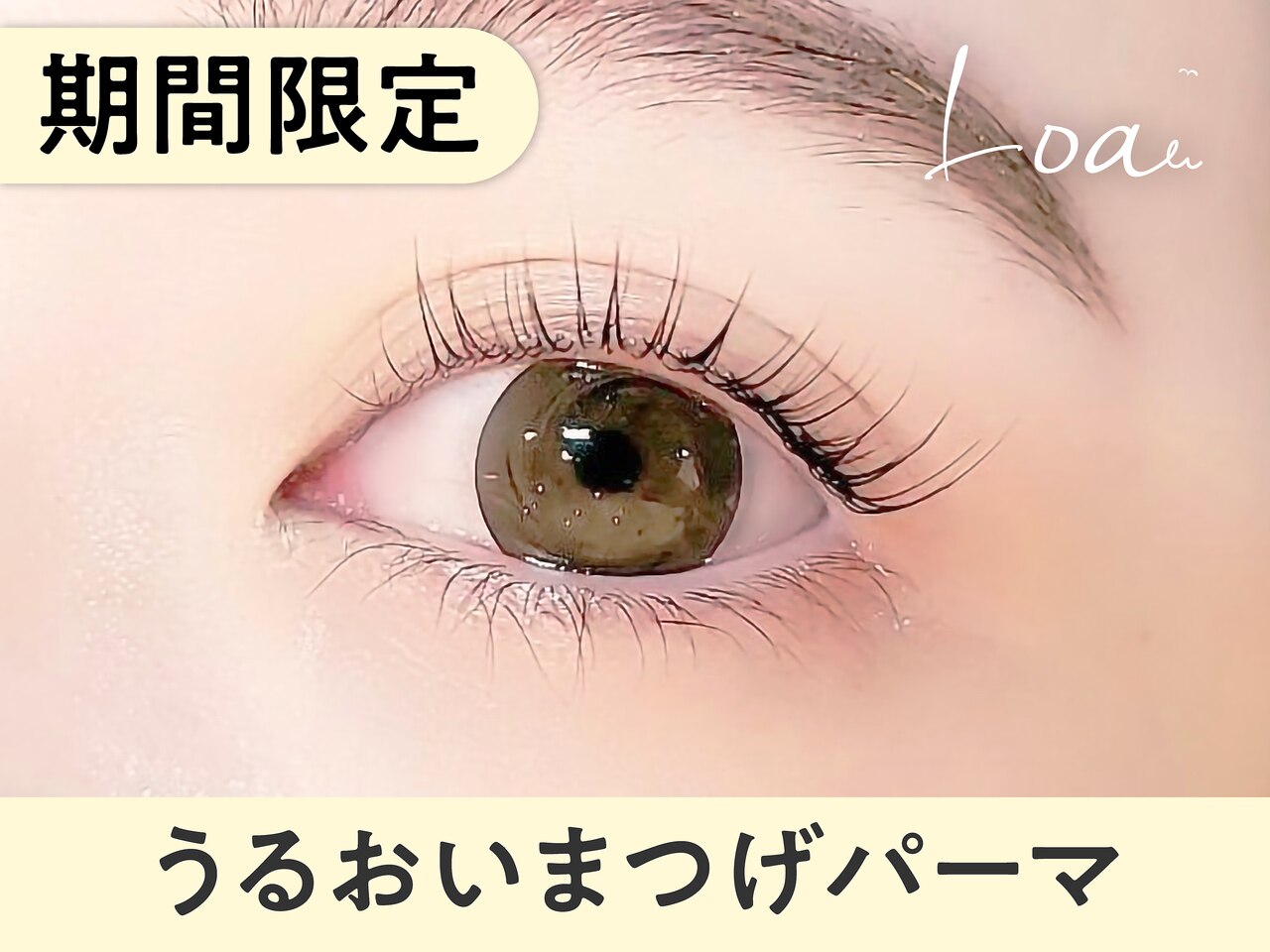 【4月20日まで限定】潤いまつげパーマ \3790→【\2690】[池袋東口]