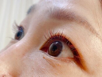 シュシュ(chou chou)/フラットカラー(chouchou吉祥寺)