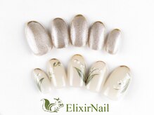 エリクサーネイル 池袋(Elixir Nail)/定額c やり放題/クーポン使用