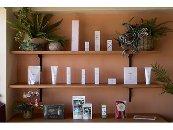 キレイ(KIREI)/ショーケース