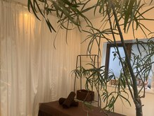 パームココ(palmcoco)の雰囲気（居心地の良い貸切プライベートサロン♪北参道/千駄ヶ谷/新宿御苑）