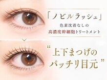 まつげパーマ elua 北野田店 【パリジェンヌ/まつげパーマ/眉毛/アイブロウ/マツパ】の雰囲気(まつげパーマ+眉毛WAXで、すっぴんでも整う垢抜け目元に)