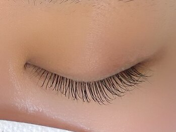 シル シェノン(cil shenon)/フラットラッシュ100本