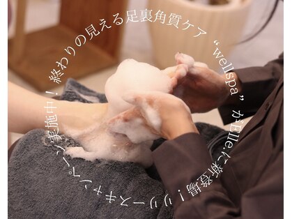 エル(Elle.)の写真