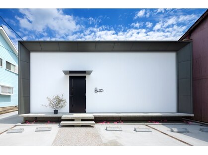 ネリネ(Nerine)の写真