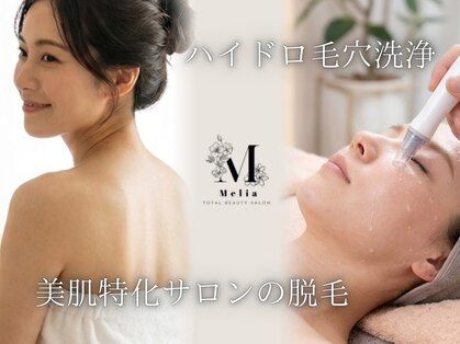 メリア(Melia)の写真