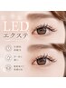【次世代LED★驚異のモチ】LEDフラット140本¥8600