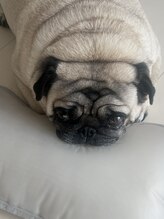 チューズ(choose)&nbsp;いくら 