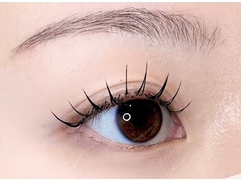 ハリス(HARIS)/フラットラッシュ　120本