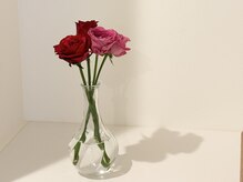 ザ ネイリー(THE NAILERY)/