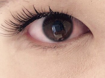 カラン 焼津店(CALIN)/フラットラッシュ160本