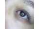 セレノフィル 田町三田(Selenophile)の写真