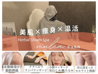 ミュルカ(mulca)の写真