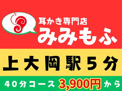 みみもふの写真