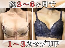 リルマコ/バストアップ＆バストケア