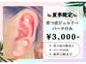 【耳つぼジュエリー】パーツのみ★オシャレ&金アレさん向け(片耳6粒)