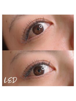 シュカ(Shuka)/LED200本