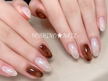 ホシノネイル(HOSHINO NAIL)/べっ甲・ニュアンス・オーロラ
