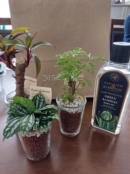 アマナプラーナ(Amana Praana)/