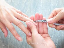 ロハス(LOHAS)