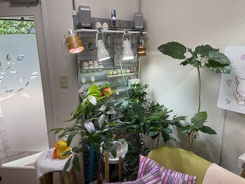 トータルリラクセーション 一心/第一休憩室2024その３