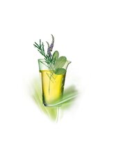 マリコール GINZA SIX店&nbsp;伊藤 