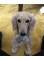 アルゴ 金沢増泉店(ALGO) 愛犬のコロンです♪