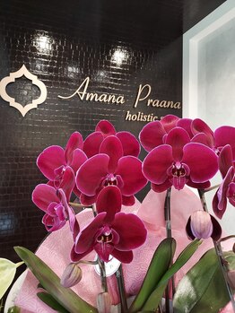 アマナプラーナ(Amana Praana)/