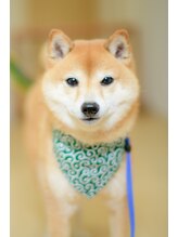 インディバ痩身サロン プルミエ(premier)&nbsp;諭吉 