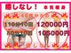 フレクシーの写真
