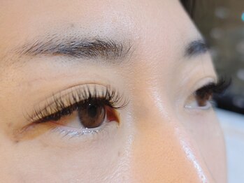 ロワゾブルー(L'Oiseau Bleu)/Wフラット