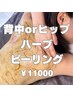 【ボディもつるっと】背中orヒップハーブピーリング　うっとり滑らか肌を！