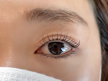 アイラ 亀田店(EYELA)/ラッシュリフト