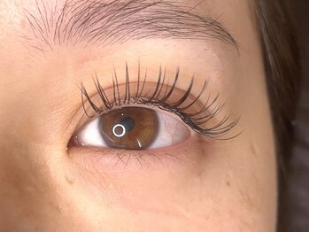 ラシク ベル(Lashiku Belle)/フラットラッシュ