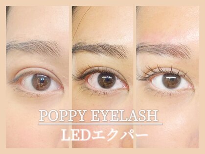 ポピーアイラッシュアンドエイジングケア(POPPY eyelash)の写真