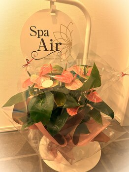 スパアイル(Spa Air)/Spa　Air　【スパ　アイル】