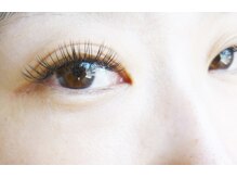 テイラー(Taylor)/フラットラッシュ140本 SONE