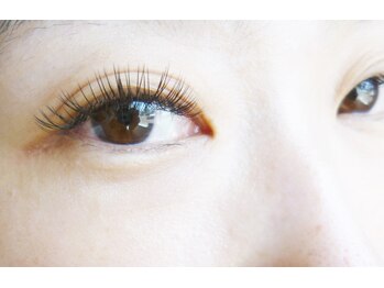 テイラー(Taylor)/フラットラッシュ140本 SONE