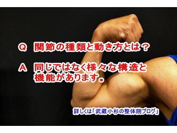 小池整体院/関節の種類と動き方とは？