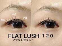 ブルージュ 自由が丘(Bruges)/フラットラッシュ　120本