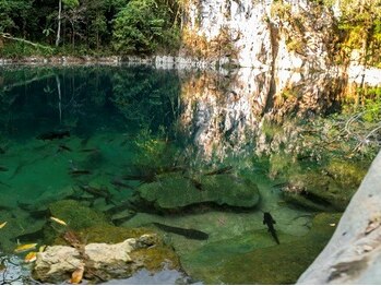 アジアンリラクゼーション ヴィラ 福岡東店(asian relaxation villa)/タイ：ロムプーキアオ