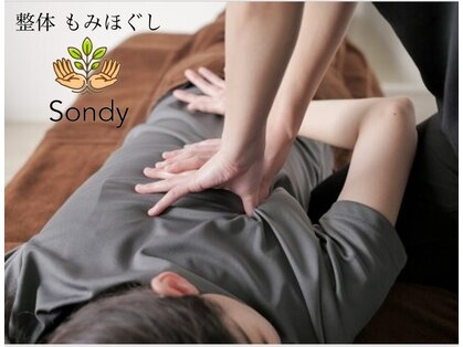 ソンディー(Sondy)の写真