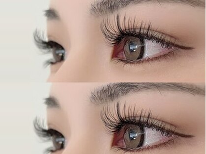 サッシー(SASSY)の写真