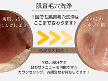 エムエー(MA)/肌育毛穴洗浄