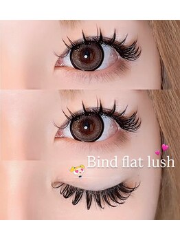 バンビズルーム(Bambi's Room)/バインドフラットラッシュ