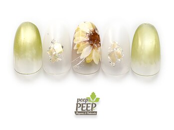 ピッピ 桜新町店(peep PEEP)/25年8月マンスリートレンド-9