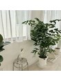 イル 南浦和(illu) 自分の好きなものをつめこんだこだわりの店内